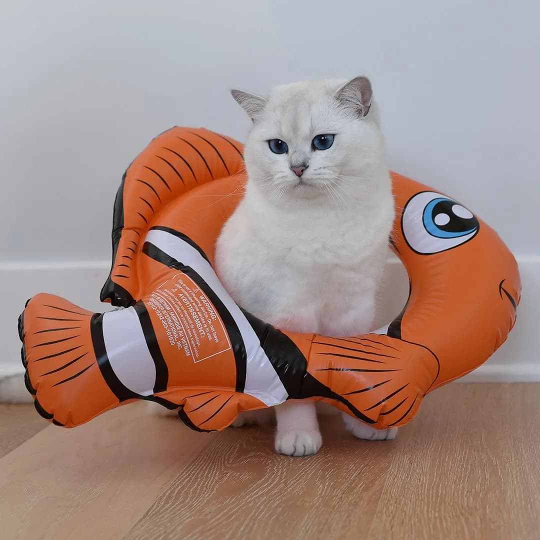 In an unexpected turn of events, I found myself in the belly of the same animal that’s usually in mine.