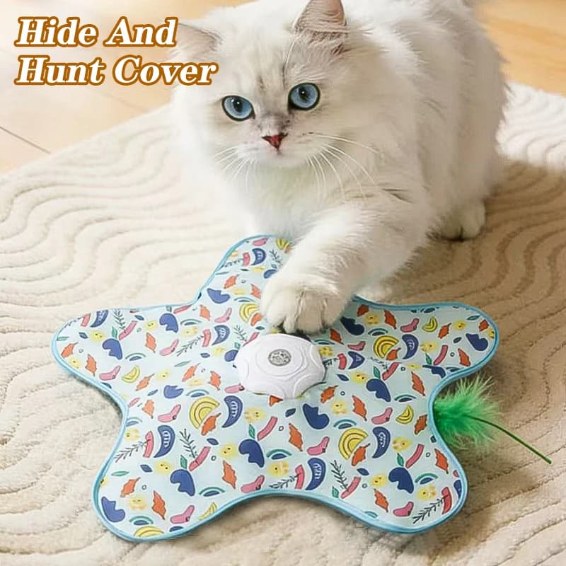 Interactive Hide-and-Seek Cat Toy